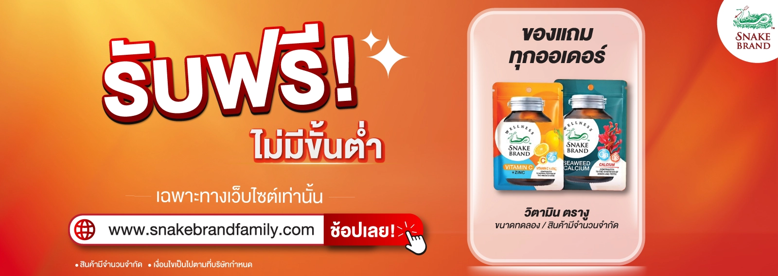 supplement