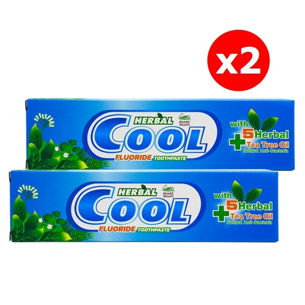 1HerbalCoolFluorideToothpaste100gx2jpg