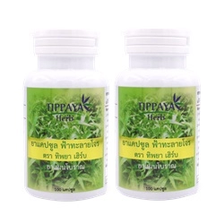 Tippaya Herb 100 Capsules.x2